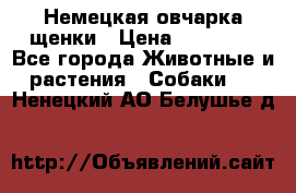 Немецкая овчарка щенки › Цена ­ 20 000 - Все города Животные и растения » Собаки   . Ненецкий АО,Белушье д.